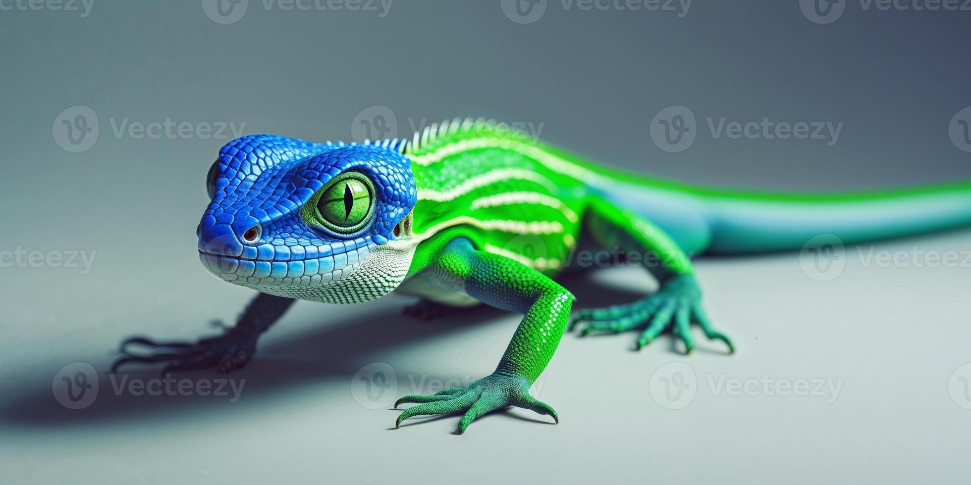 A lizard with green and blue stripes photo