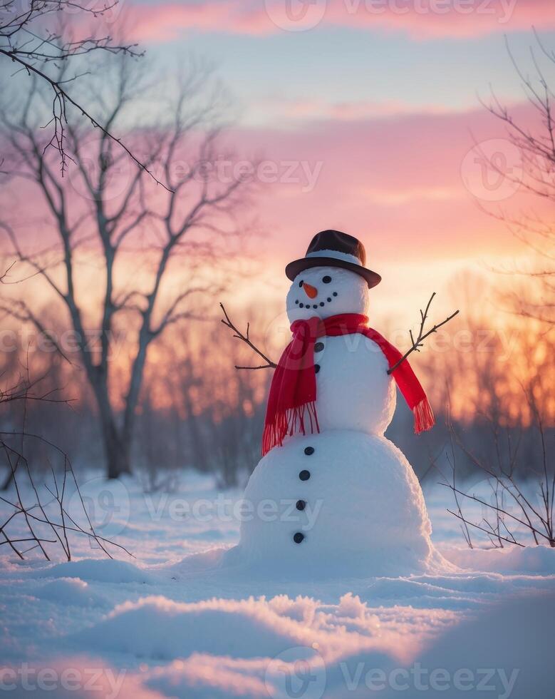 A snowman is standing in the middle of a field photo