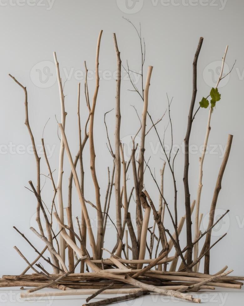 A group of sticks and branches are arranged in a circle photo
