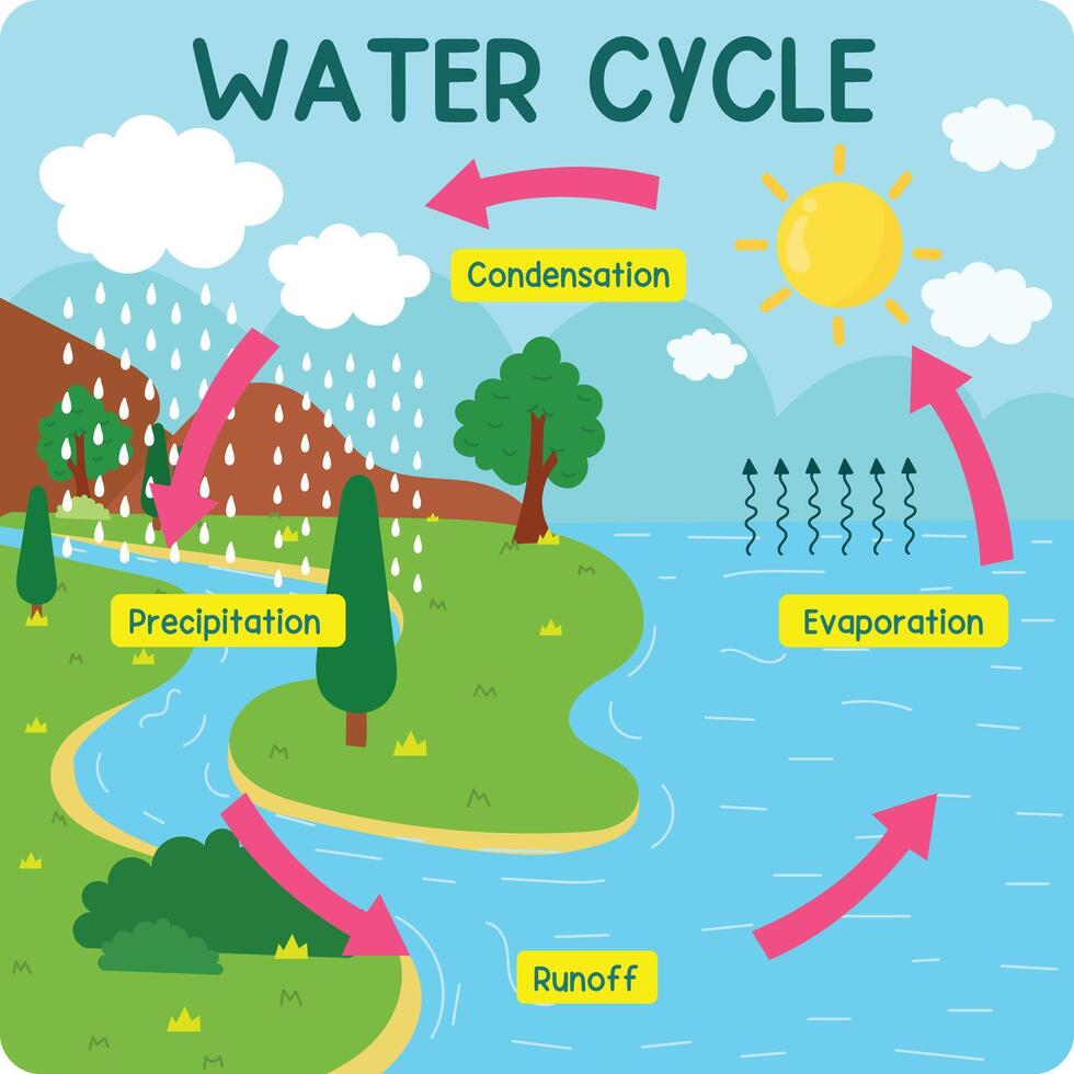 The water cycle, A simple circular cycle of evaporation vector