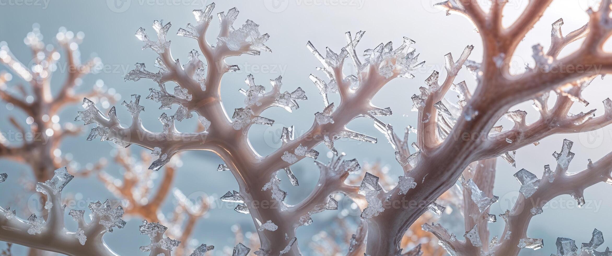 A tight shot of corals adorned with ice crystals suspended from their branches. photo