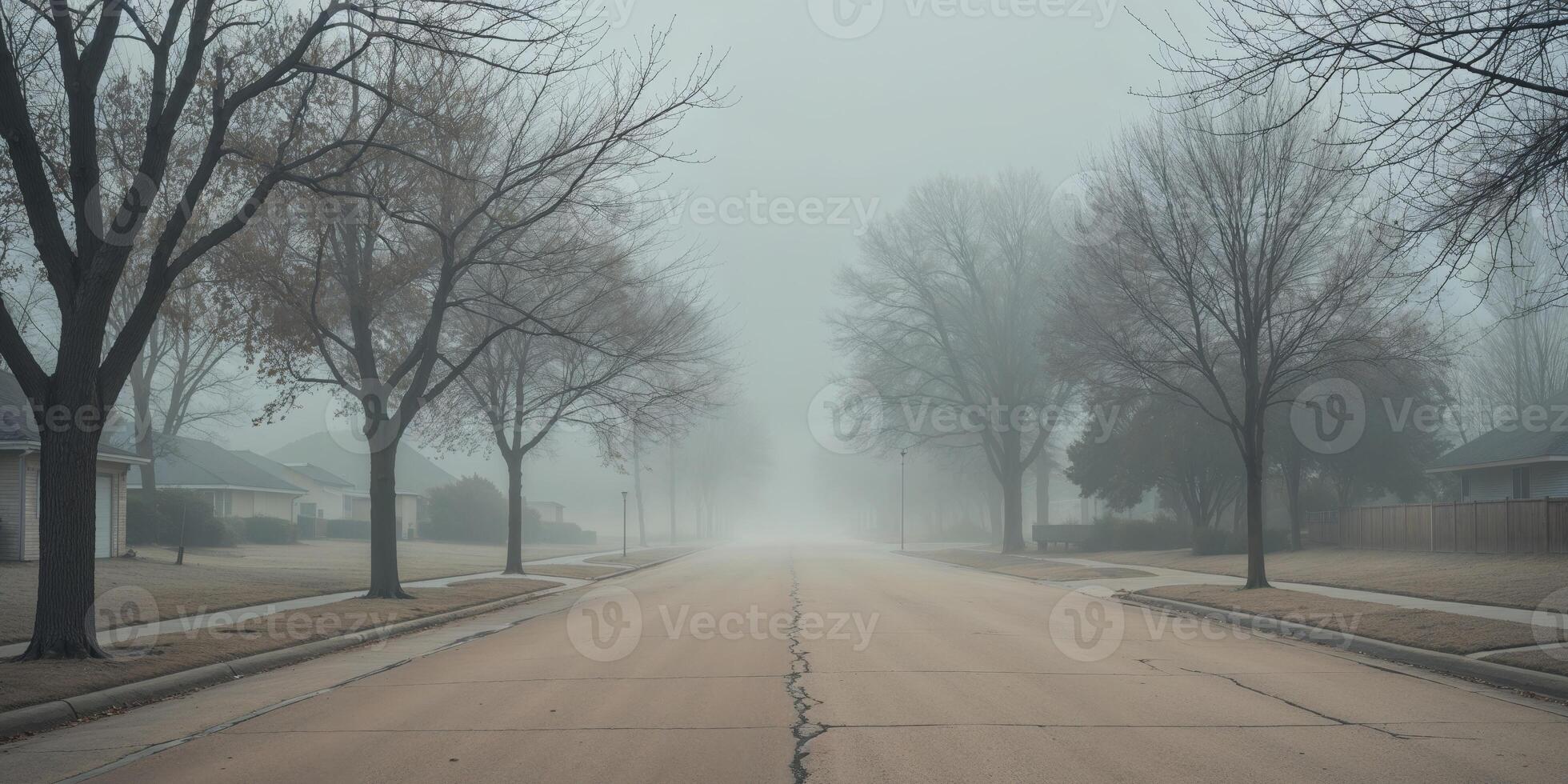 Empty Foggy Street in Suburban Neighborhood with Brown Trees and Overcast Sky. photo