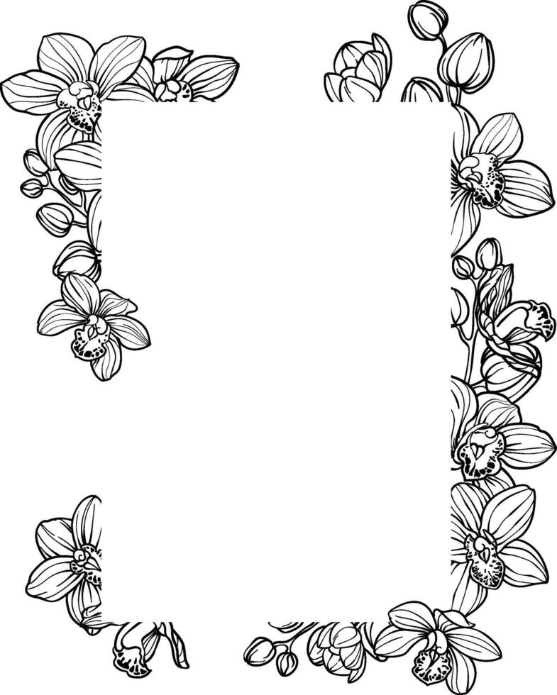 Frame with orchid flowers, floral illustration vector