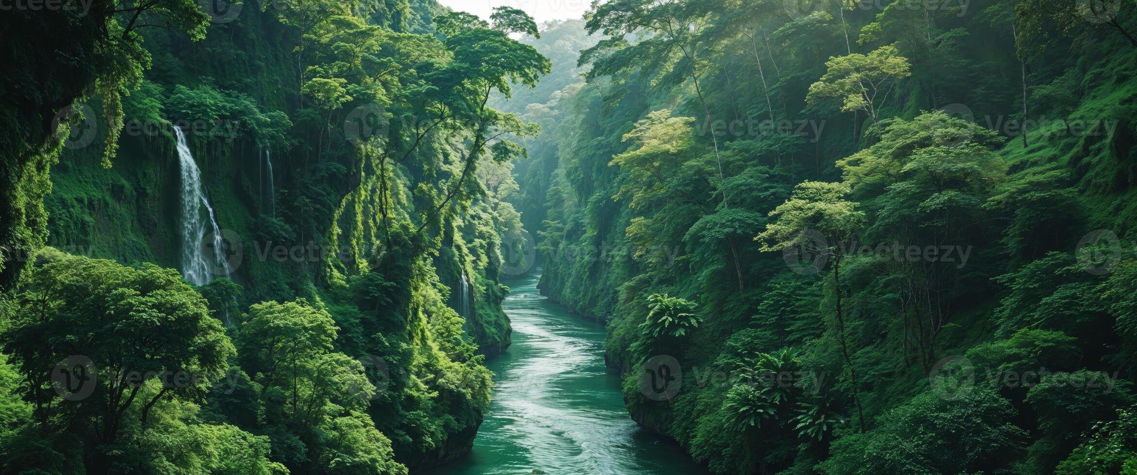 Lush Green Tropical River Canyon Landscape. photo
