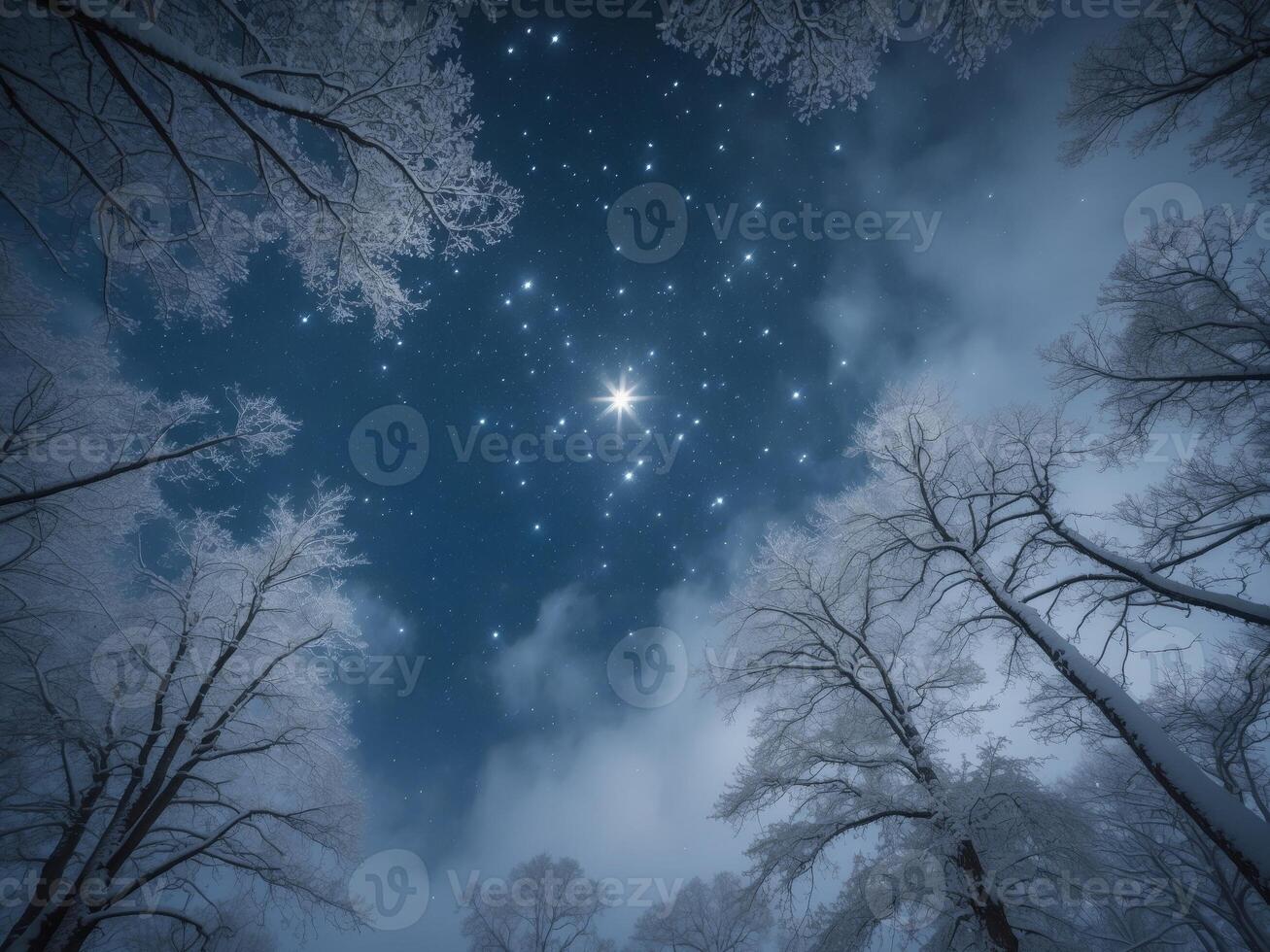 A star shines in the sky above a snowy forest photo