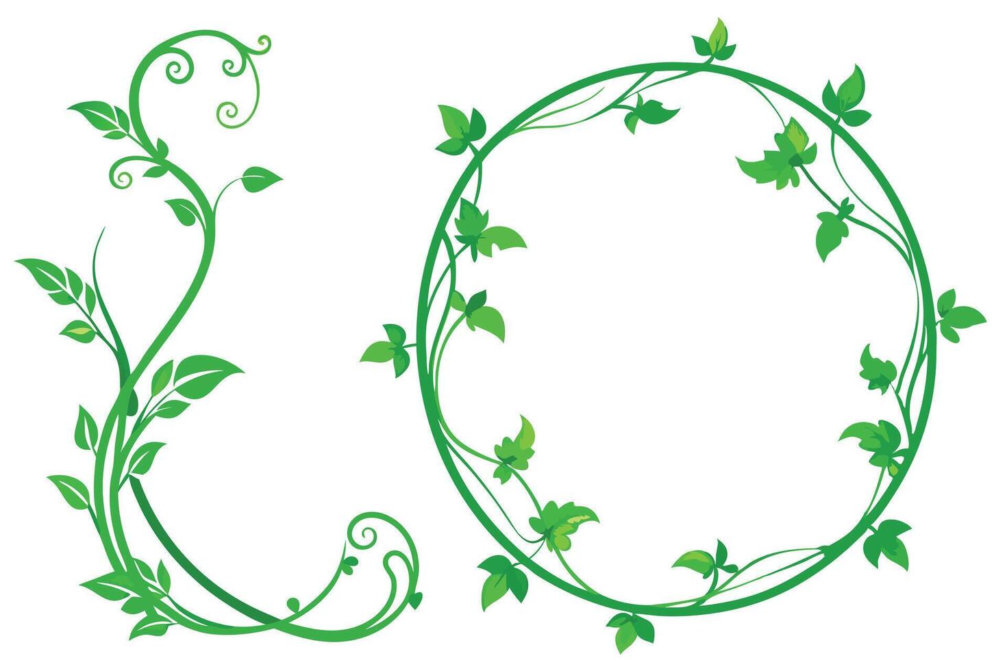 Green Vines and Leaf Border on White Backdrop, Lush Foliage Design Element vector