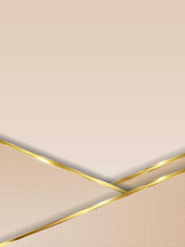 Luxury golden abstract light background vector