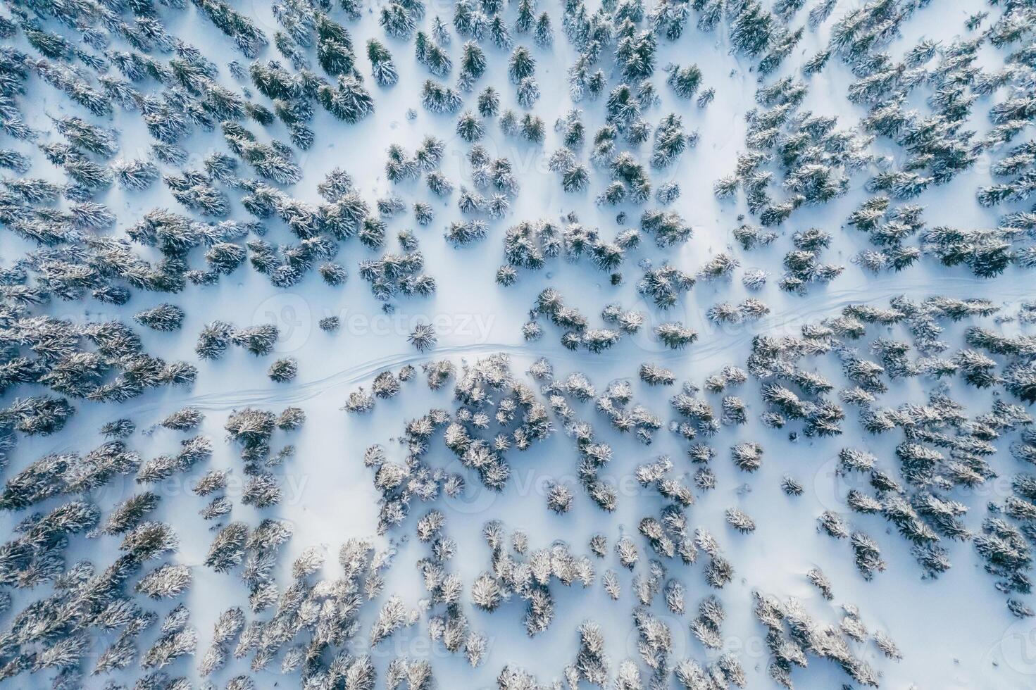 Top aerial view of trees covered, in snow in the Carpathian mountains. Majestic background photo