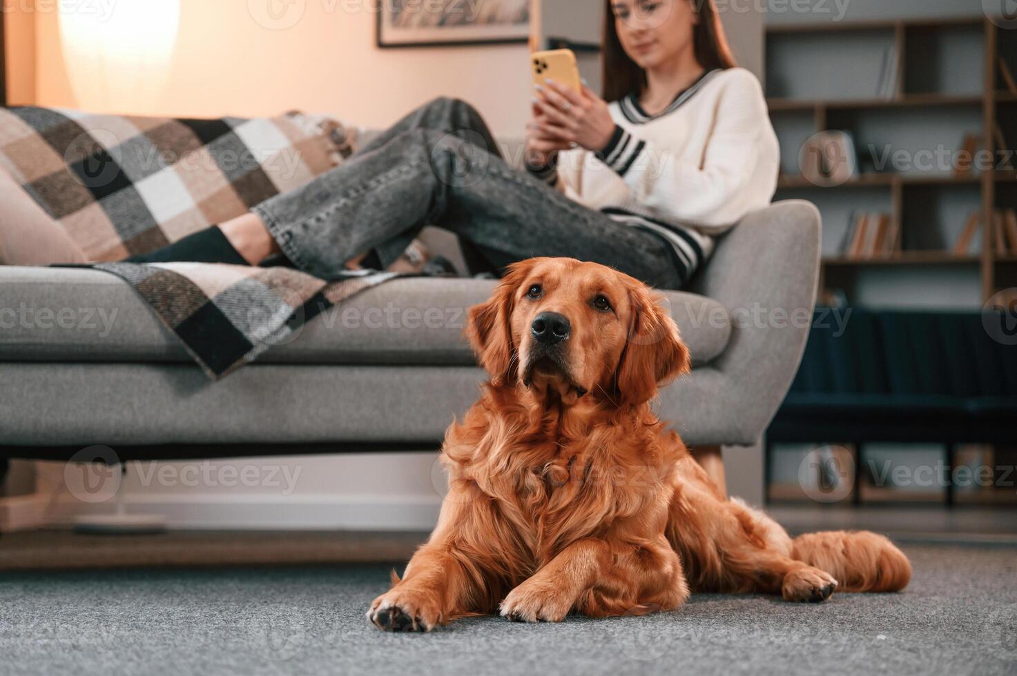Beautiful young woman is lying down on ,the sofa with smartphone. Cute golden retriever is in domestic room with his owner photo