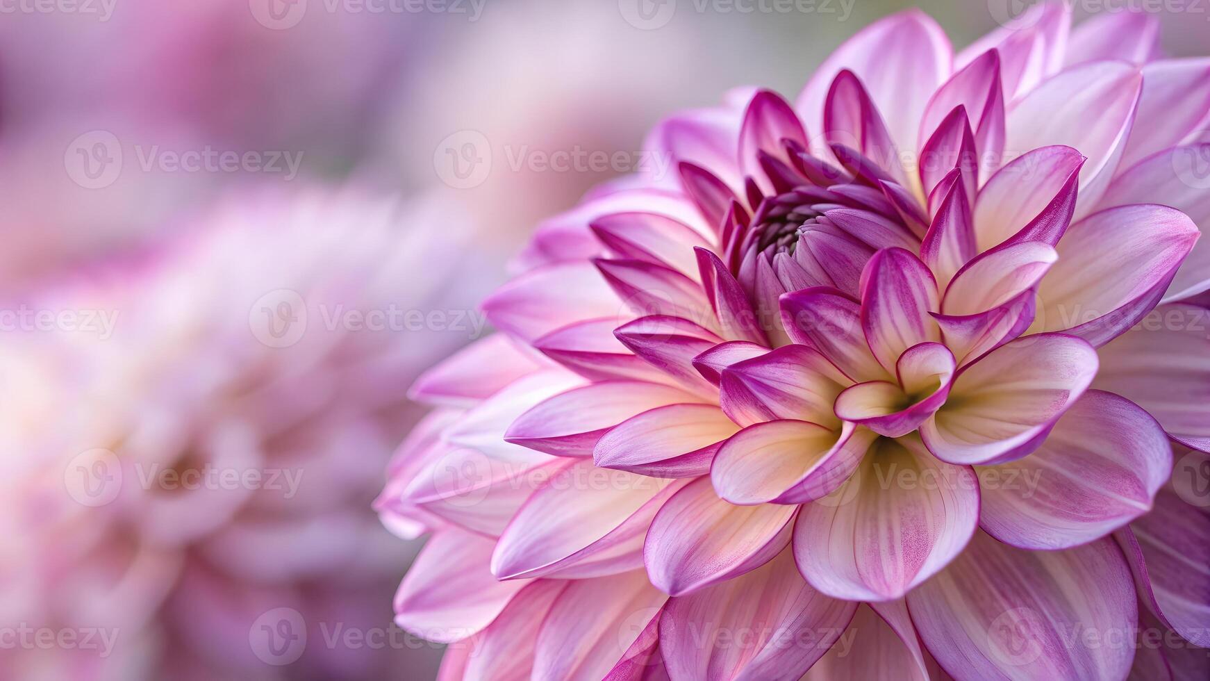Close Up of Purple Dahlia Flower, Highlighting Petal Details and Soft Focus Background, Botanical Beauty in Bloom, Floral Photography, Garden Plants, Natures Delicate Artistry, Springtime Florals, photo