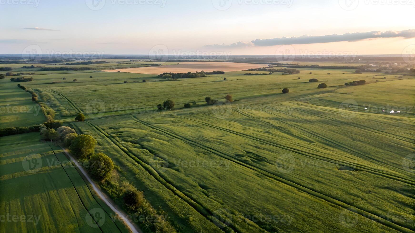Aerial view of lush green fields stretching into the horizon, with a winding dirt road and scattered trees under a serene sky at sunset. photo