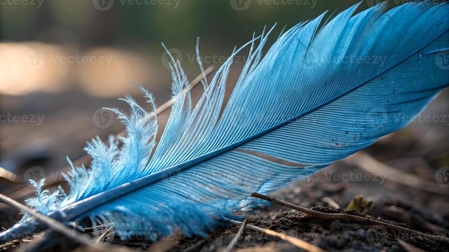 Aerial View of Blue Feather on Sand, Highlighting Wildlife and Nature Beauty, Landscape with Grass and Soil, Bird Conservation, Ecosystem Health, Sustainable Living, Eco Friendly Practices, photo