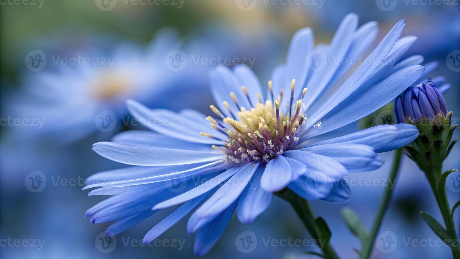 Close Up of Delicate Blue Flower with Yellow Center, Highlighting Natural Beauty and Fragility, Botanical Photography, Floral Design Element, Garden Aesthetics, Spring Bloom, Pollination Process, photo