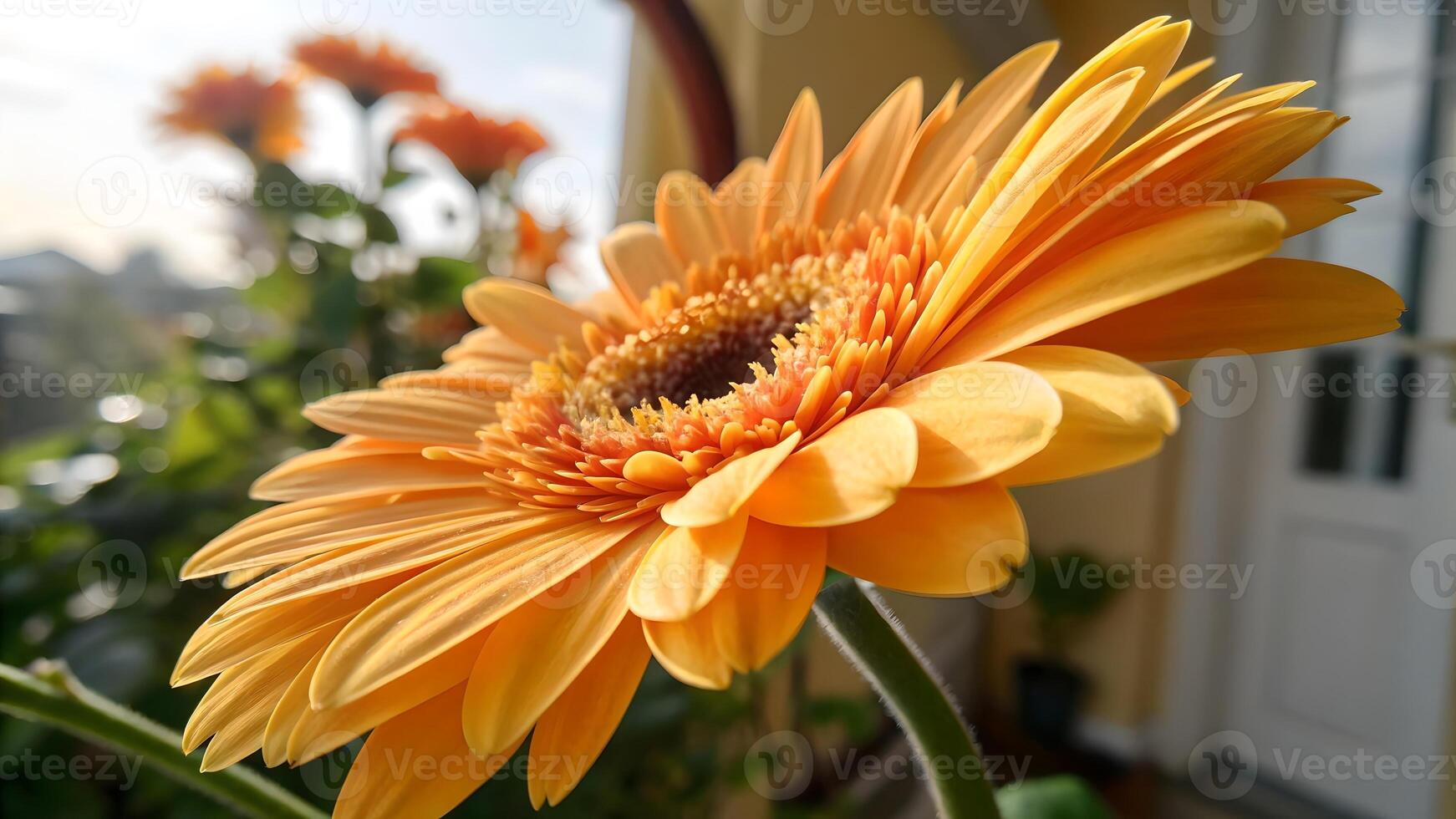 Aerial View of Vibrant Yellow Gerbera Daisies, Highlighting Indoor Gardening Benefits, Close Up Floral Photography, Home Decor Ideas, Natural Beauty, Flower Arrangement Inspiration, Botanical Art, photo