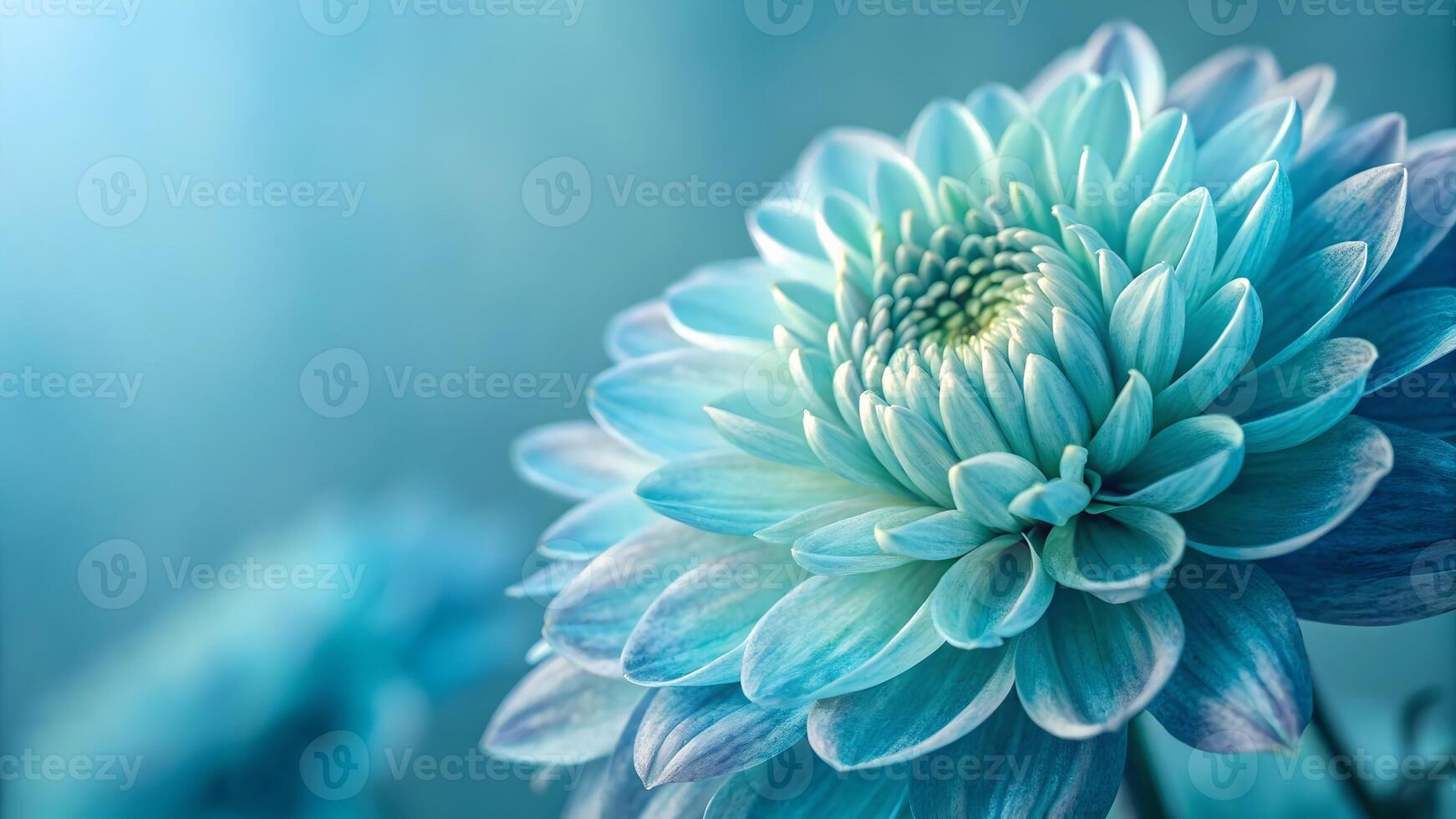 Aerial View of Blue Dahlia Flower, Highlighting Delicate Petals and Soft Light, Landscape with Floral Beauty, Nature Photography, Botanical Garden, Floral Design Inspiration, Eco Friendly Gardening, photo