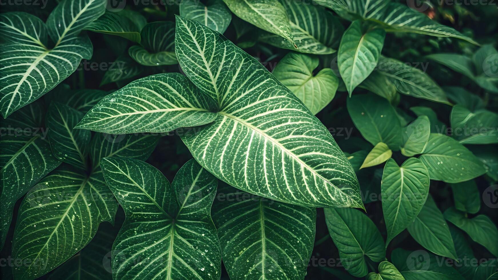 Tropical Leaves Vibrant Greenery Botanical Garden Nature Lovers and Designers botanical photo