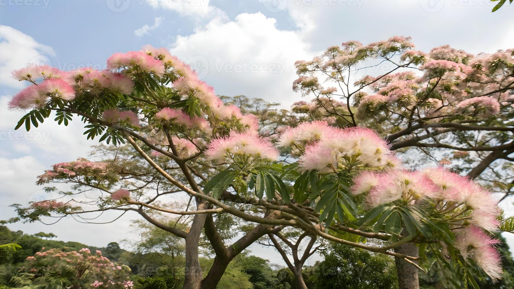 Pink Flowering Tree in Full Bloom Against Blue Sky for Nature Lovers and Landscape Designers plant photo