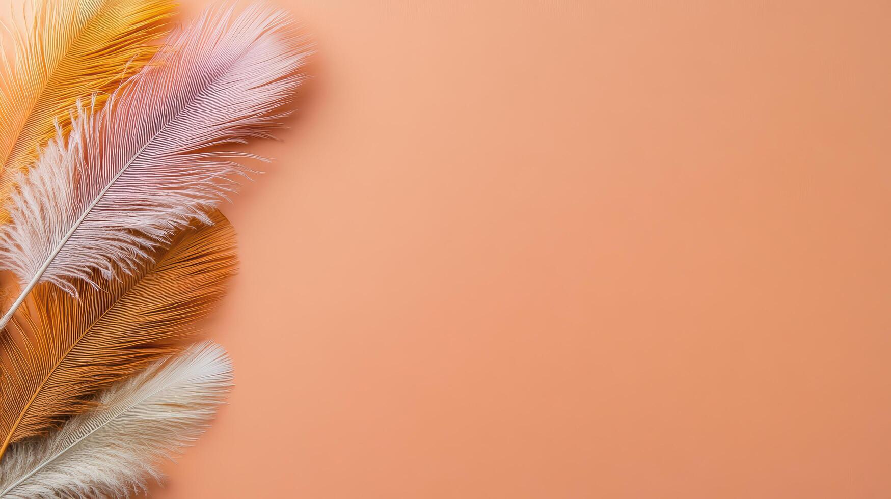 Colorful feathers arranged on bright orange background create vibrant display photo