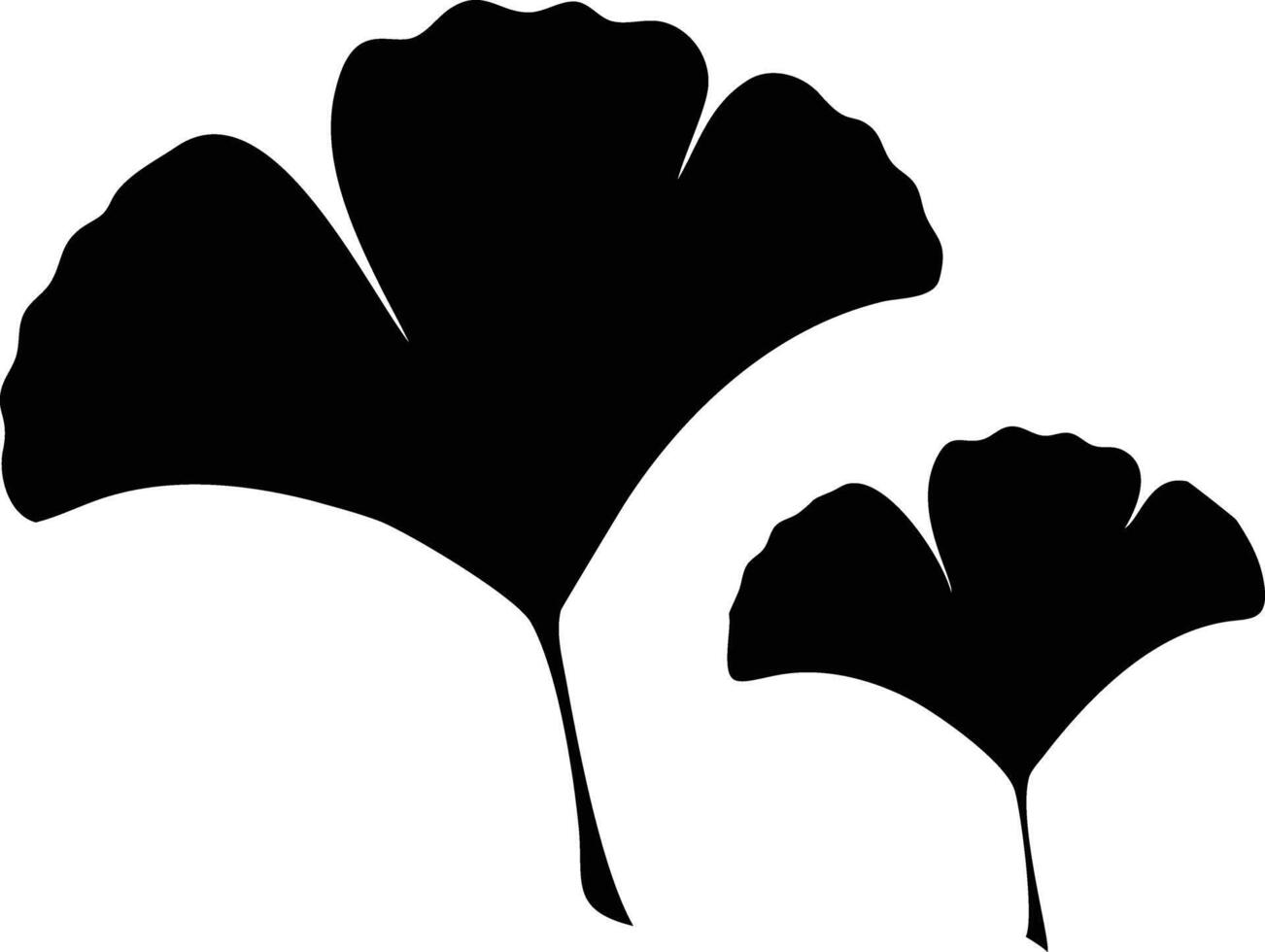 Black Ginkgo Leaves Silhouettes, Isolated Botanical Design, Nature Inspired Art vector