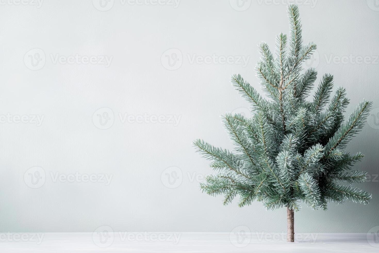 Minimalist frosted pine tree against pale backdrop for winter holiday theme simplicity and elegance photo