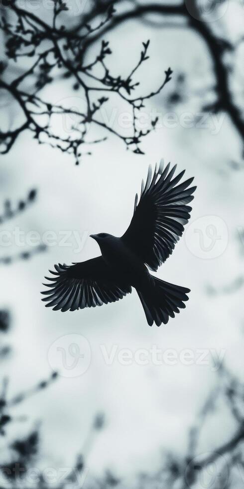 Silhouetted Bird in Flight Against Cloudy Sky and Branches photo