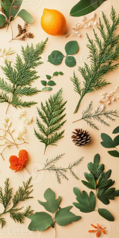 Assorted botanical leaves and natural elements on beige surface with a pinecone and orange photo