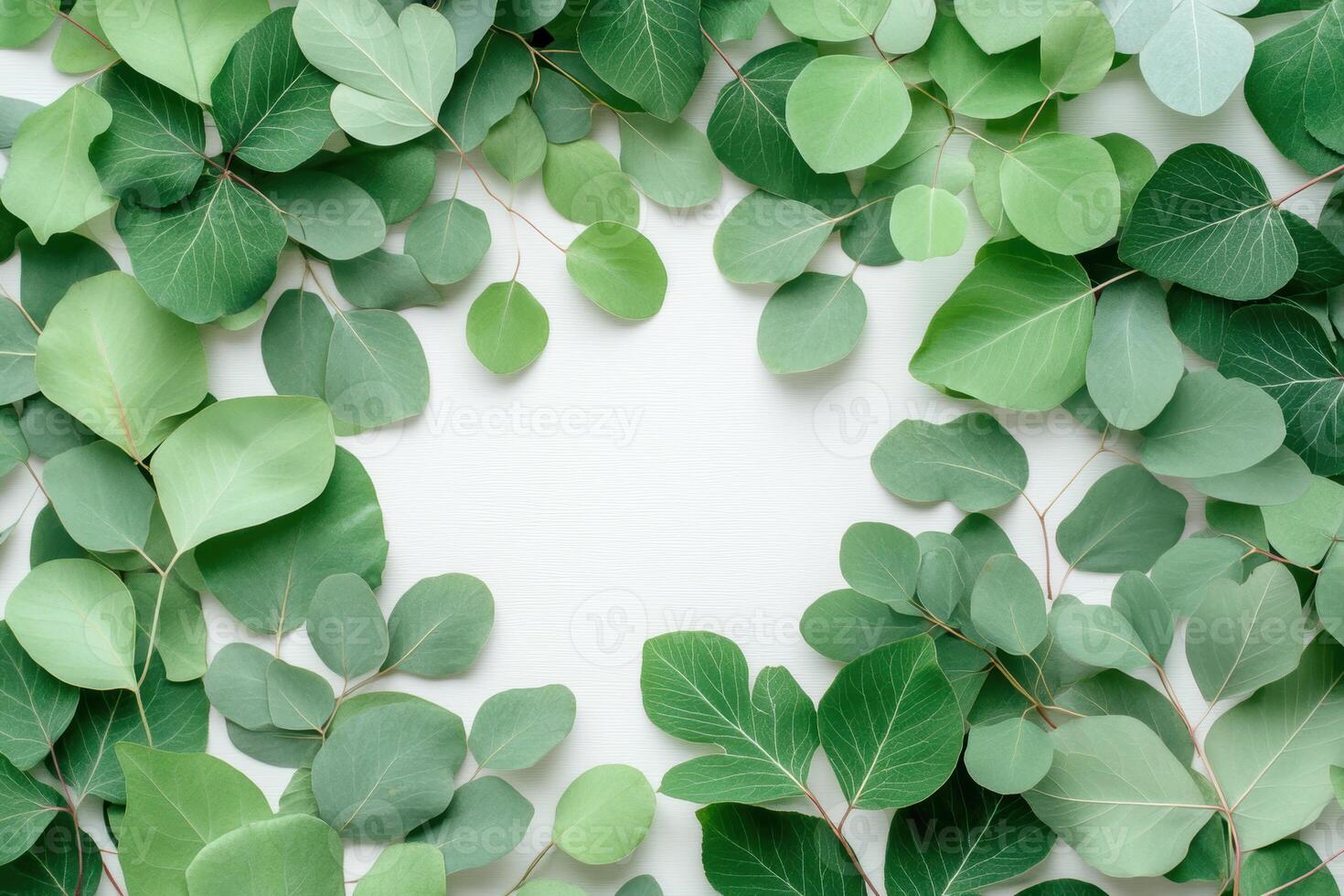 Green eucalyptus leaves arranged in a border pattern against a light background for a fresh botanical display photo