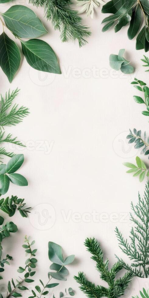 Vibrant greenery border featuring diverse leaves and foliage on white background for nature inspired designs photo