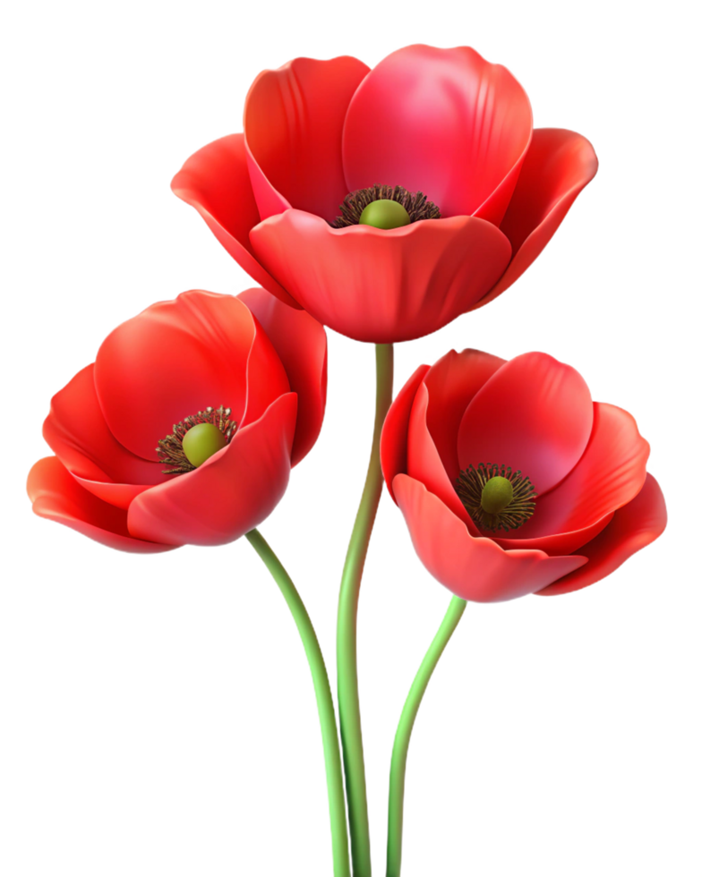 Bright and Vivid Red Poppies Flowers in Transparent Background png
