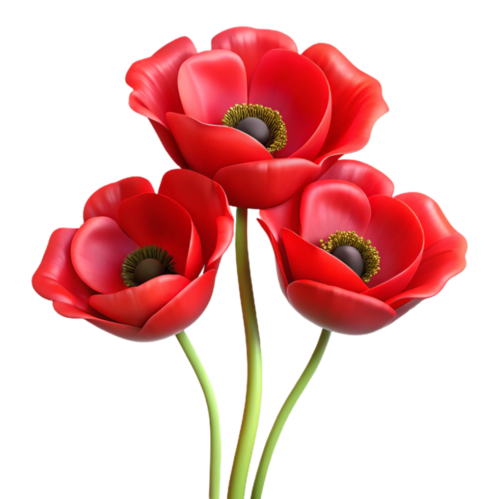 Red Poppies Flowers with Soft Glow in Transparent Background png