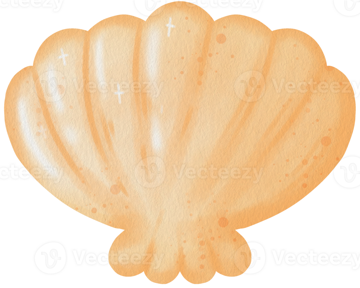 Cute Seashell Clipart Adorable Ocean Element Yellow Seashell Illustration Unique Seashell png