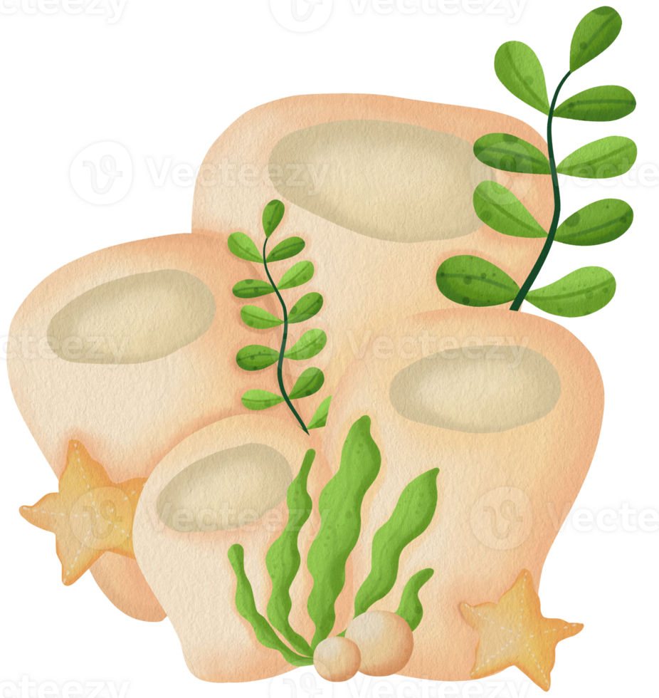 Cute Coral Reef Clipart Ocean Plants and Starfish Coral Reef Illustration Underwater Coral png