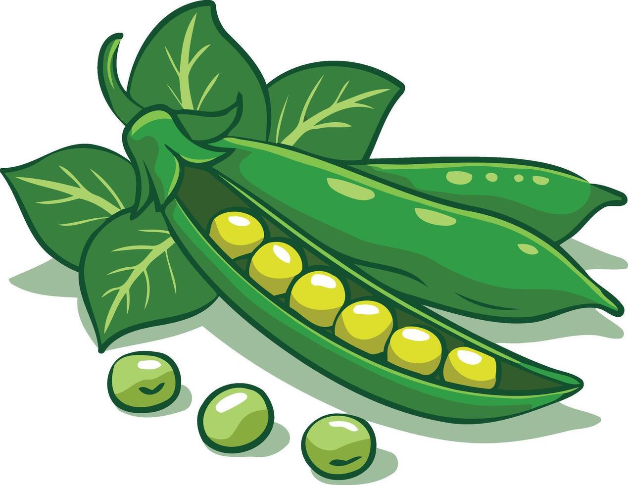Fresh Green Peas Pods Cartoon Illustration vector