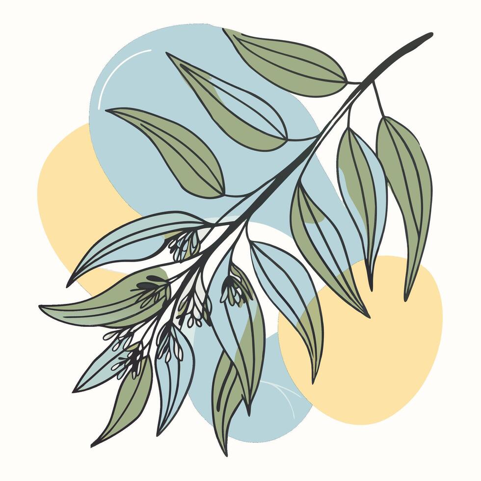 Illustration of Eucalyptus Branch with Leaves and Buds. vector