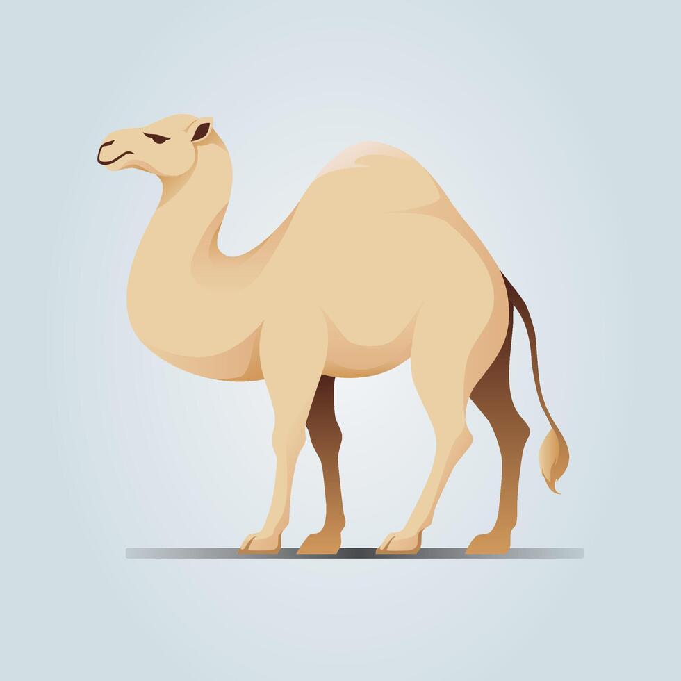 Stylized Flat Camel Illustration vector