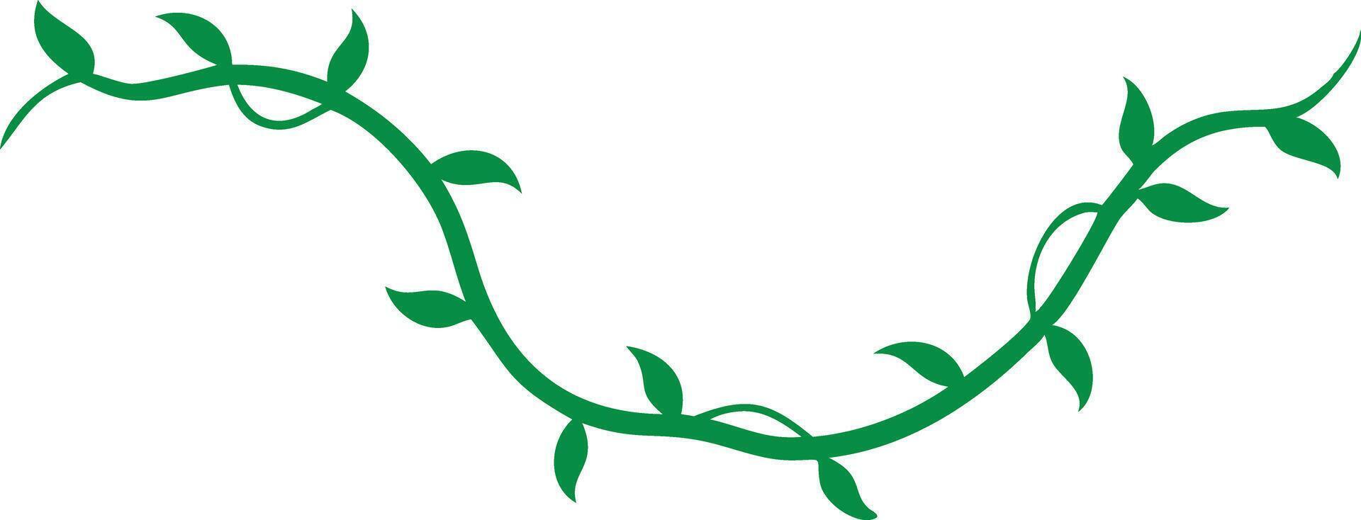 Green Vine Twirl with Leafy Shoots on a Decorative Design vector