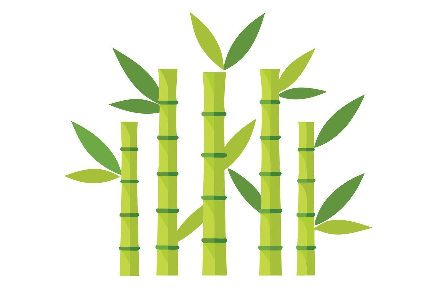 Bamboo Stalks and Green Leaves on White Background in Flat Design vector
