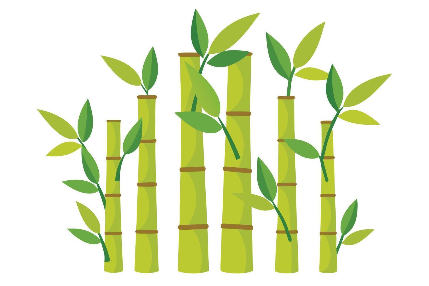 Green Bamboo Stalks with Leaves Design on White Background Botanical Theme vector