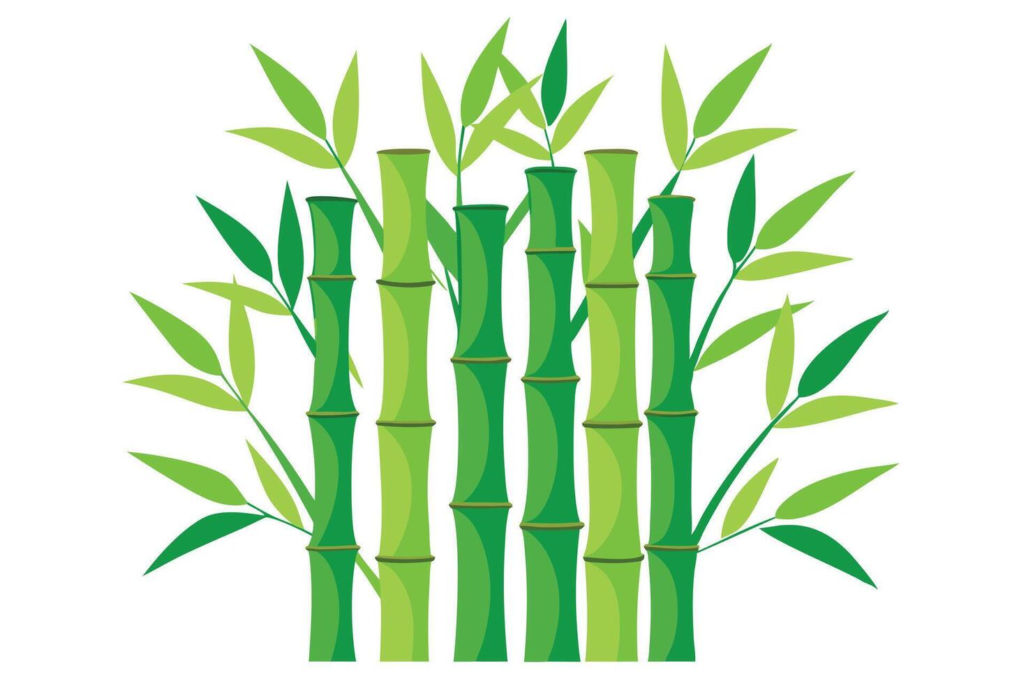 Vibrant Green Bamboo Stalks with Lush Leaves on White Background vector