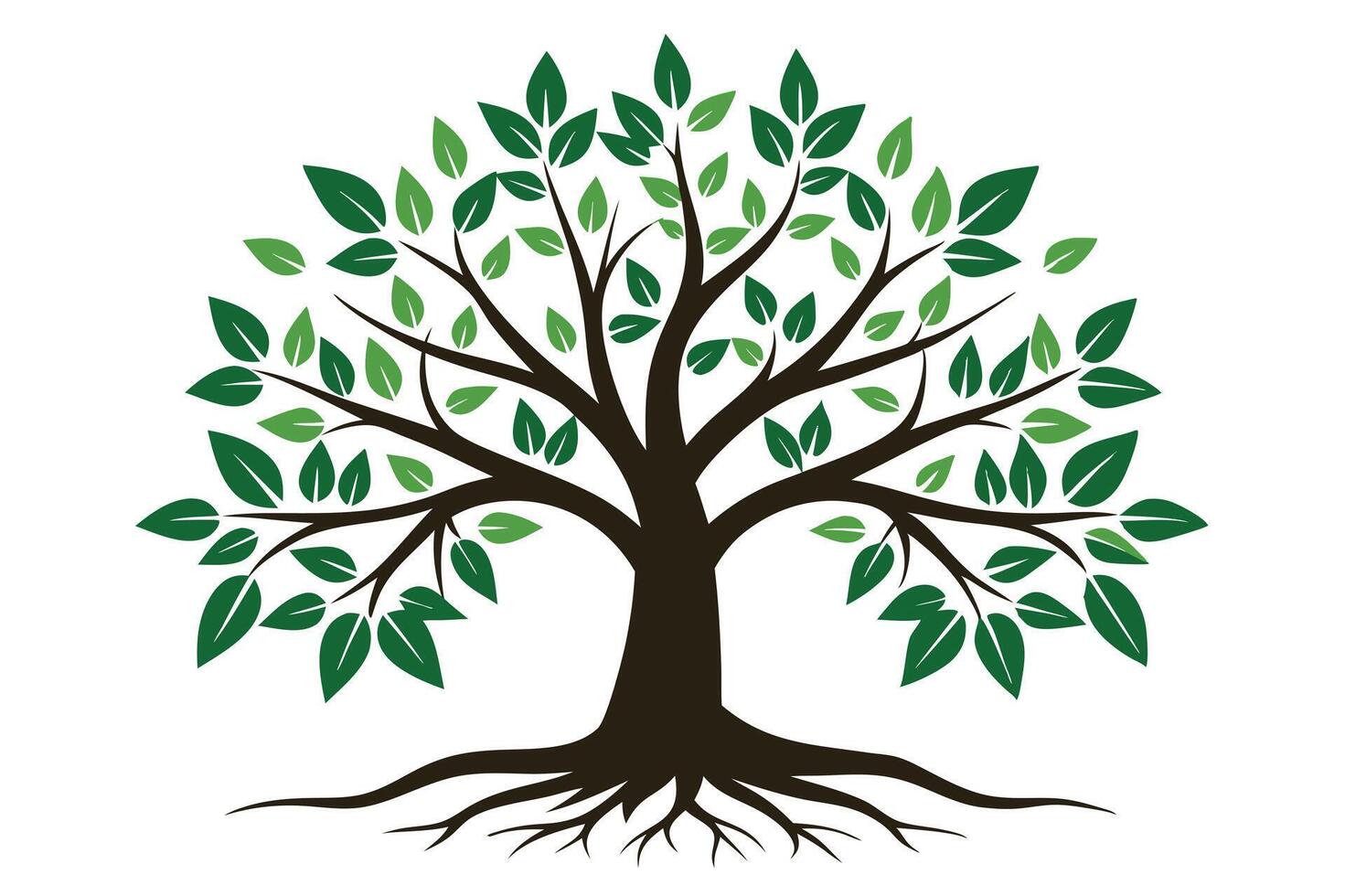 Stylized Deciduous Tree with Green Leaves and Roots on White Background vector