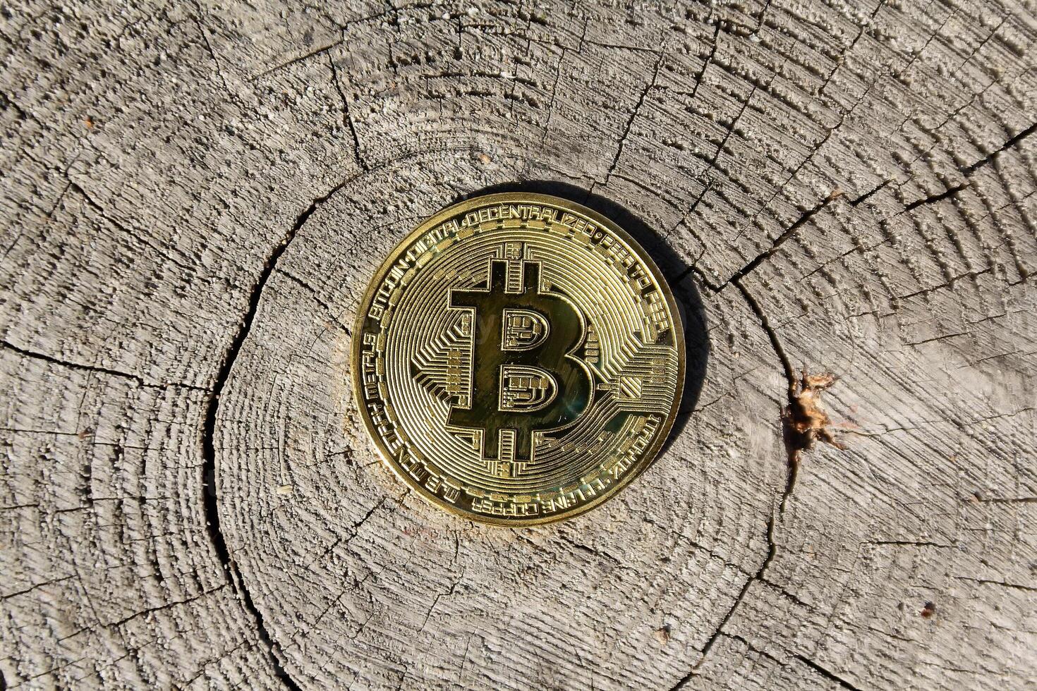 Single golden bitcoin is standing on the wooden surface photo