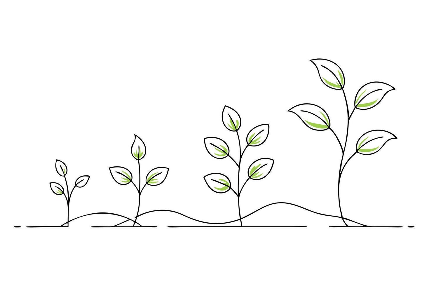Plant Growth Stages Isolated on White Background Minimalist Line Art Design vector