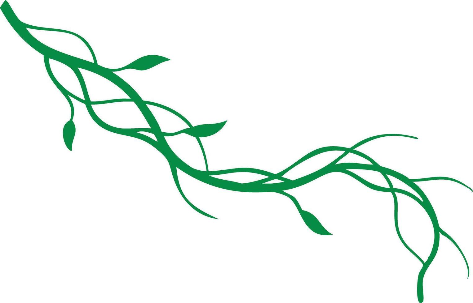 Green vines illustration, branches, leaves, floral design element on white vector