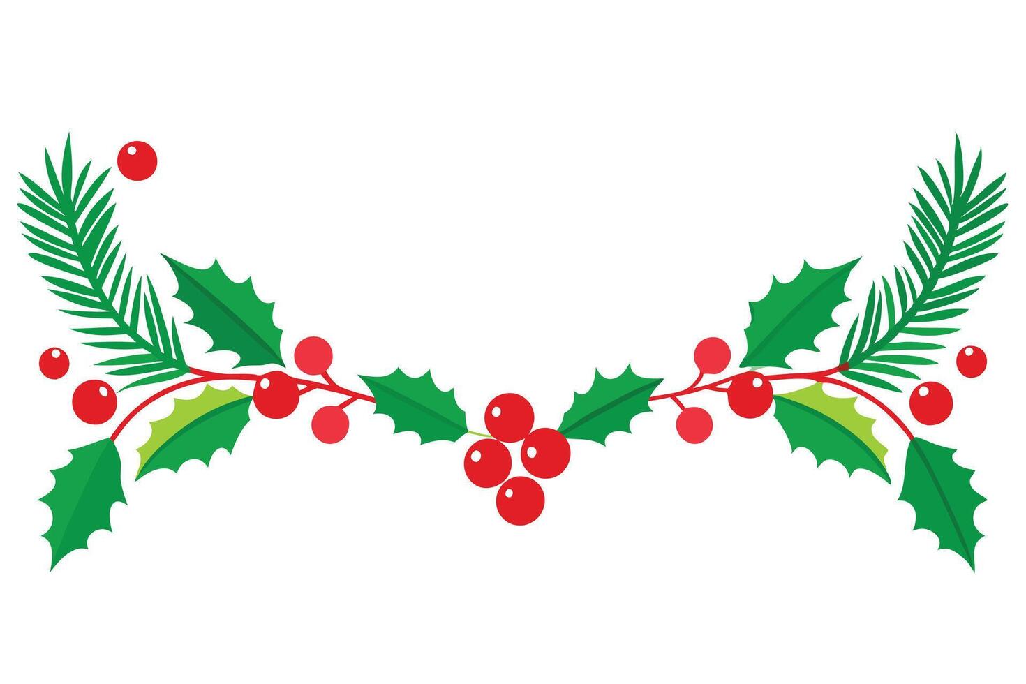 Holly Branch with Berries and Pine Leaves on White Background Isolated vector