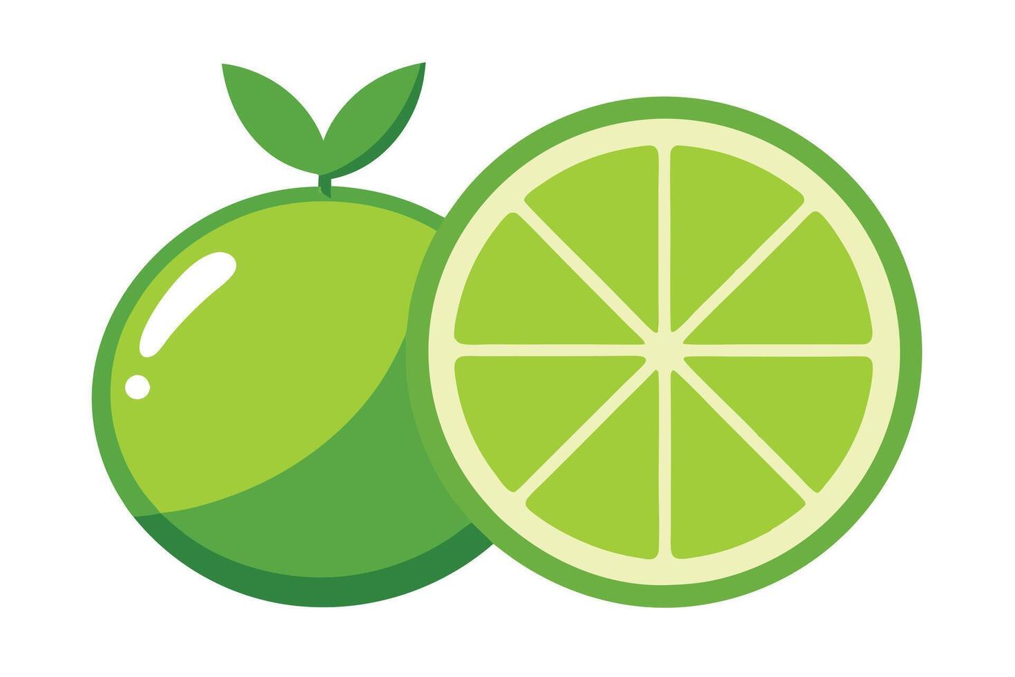 Fresh Green Lime Citrus Fruit with Slice and Leaves on White Background vector