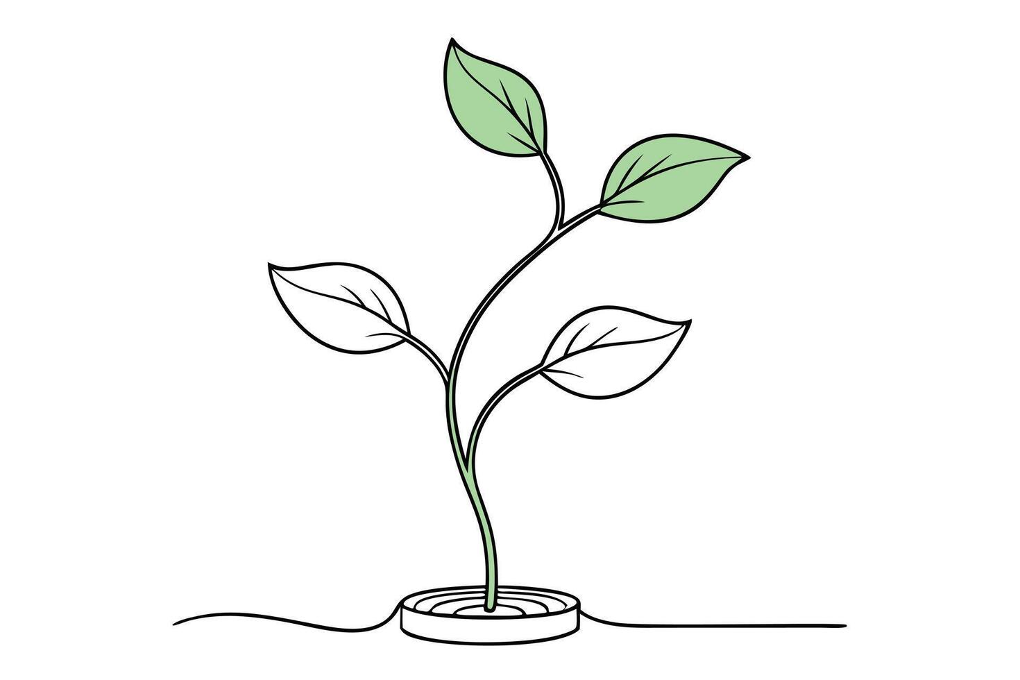 Simple Line Art Plant, Green Leaves, Seedling on White Background vector