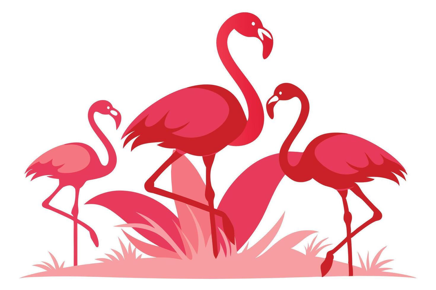 Three Pink Flamingoes Standing in Grass on White Background vector