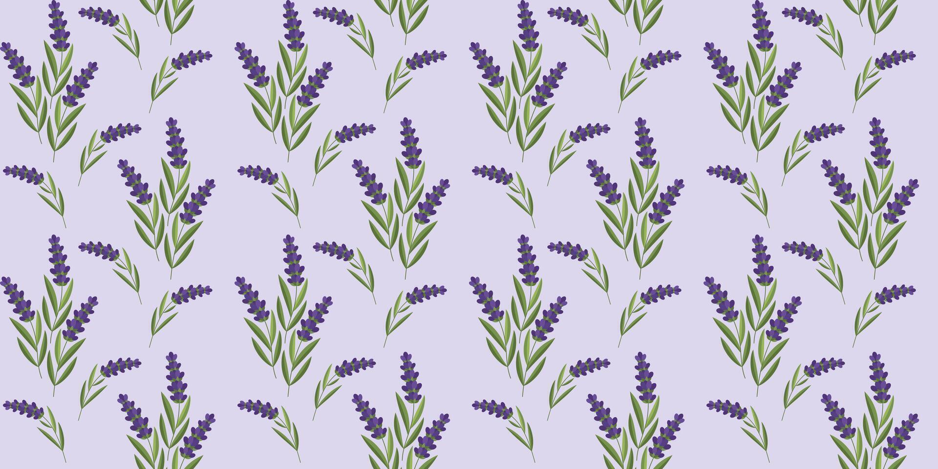 Seamless pattern of lavender flowers vector