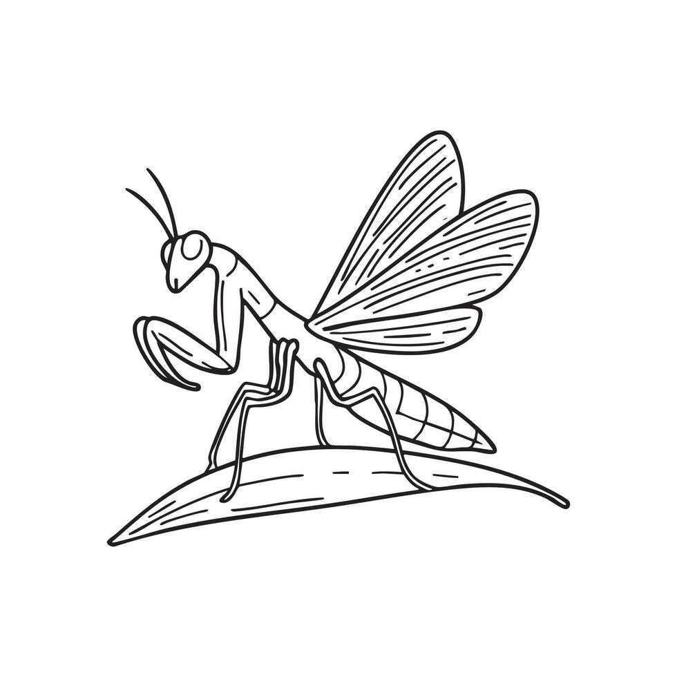 Praying mantis with wings spread in a defensive posture on a leaf vector