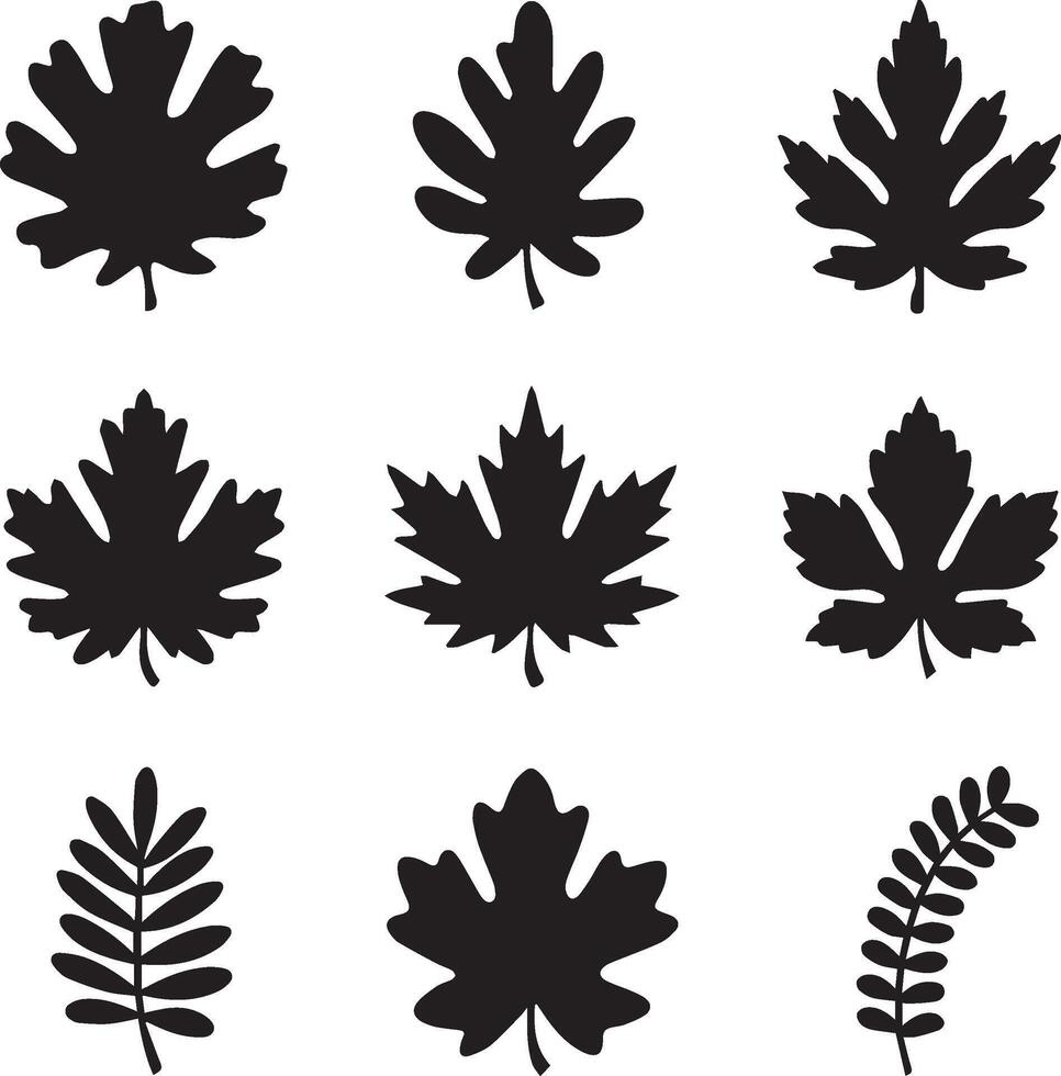 Autumn leaves illustration vector